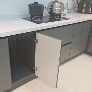 Factory Straight Hair Aluminum Whole House Furniture Waterproof Moisture Proof No Odor Wholesale Whole Furniture Design Wardrobe Cabinet Book