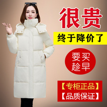 ��Ʒ�����¿���q��Ů���L��2025���n��r�мӺ�ů���ꋌ������