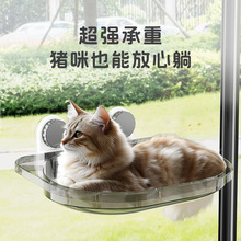 �¿��ǿ�ë����è���ļ�ͨ��è��ɹ̫���Ҵ��������ȶ�����è����