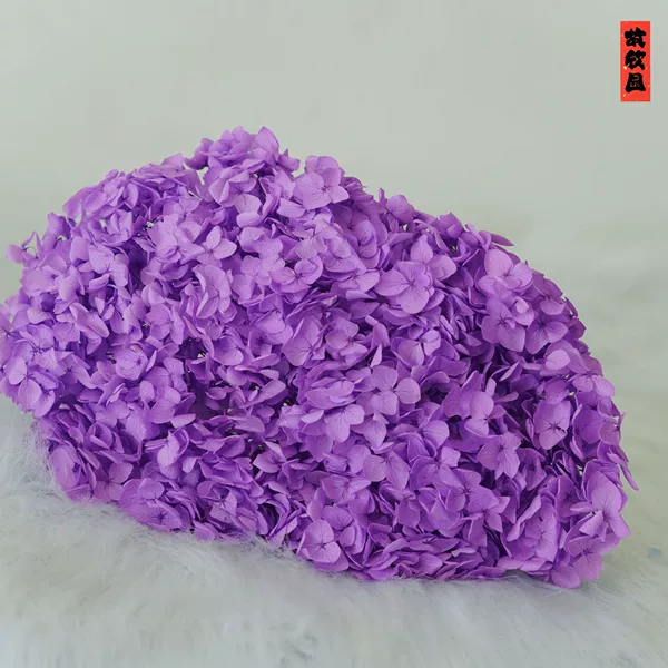 Purple/support