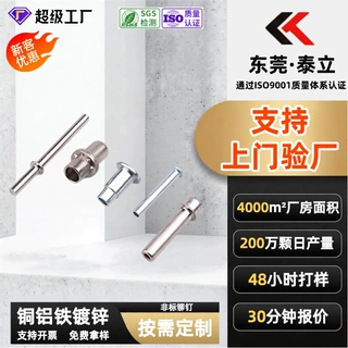 源头厂家定制非标铆钉 实心台阶中字搓花双头铜铝铁定制非标铆钉