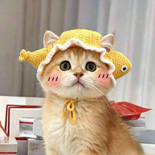 搞怪咸鱼宠物头套猫咪狗狗编织帽子变装道具头饰手工毛线帽可爱