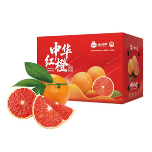 2026�����A�t�����r��ժ�����r���t��Ě�Ȯa��ֱ�lһ�����l�ք���