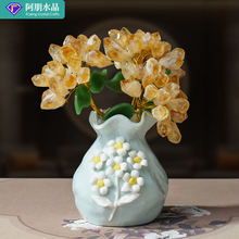 天然黄晶牙陶瓷花瓶发财树 黄水晶大颗粒原石水晶树 家居客厅摆件