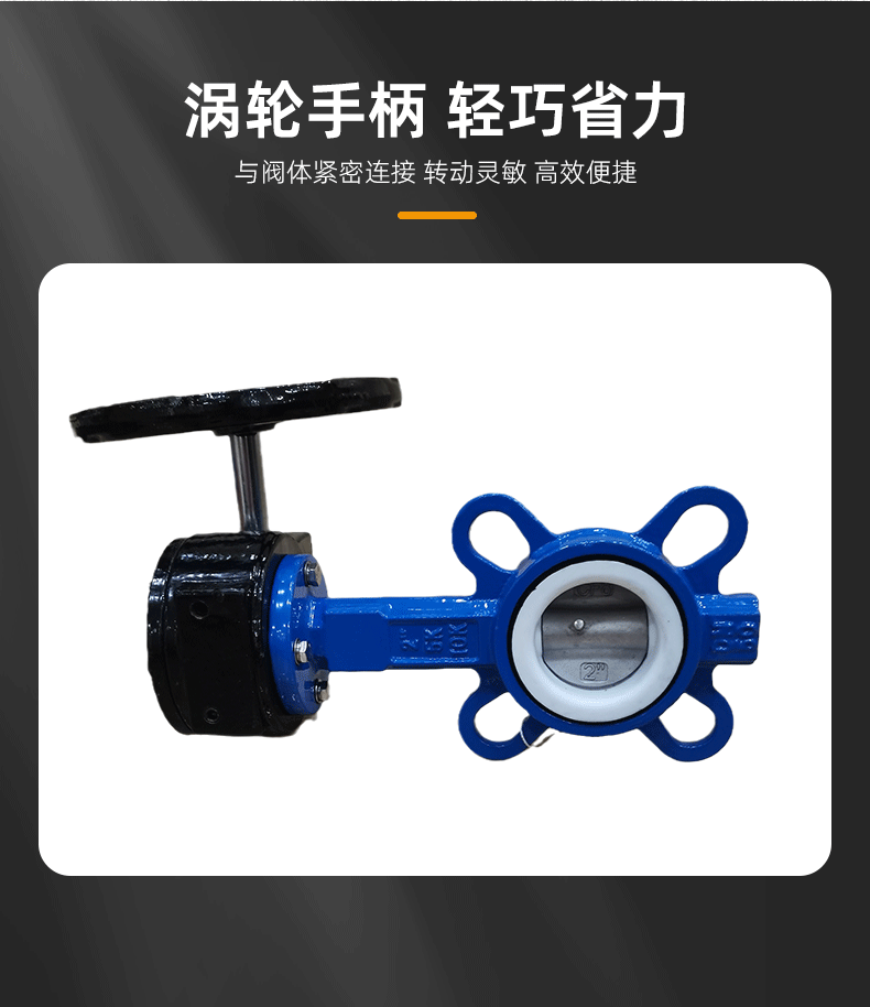 涡轮四氟蝶阀远进_04.gif