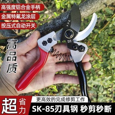 SK5高端园艺剪修枝剪树枝剪刀园林剪 果树刀盆景园艺花卉花枝剪
