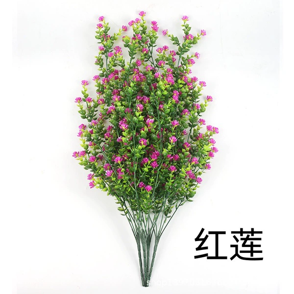 Red lotus [69 items] Eucalyptus