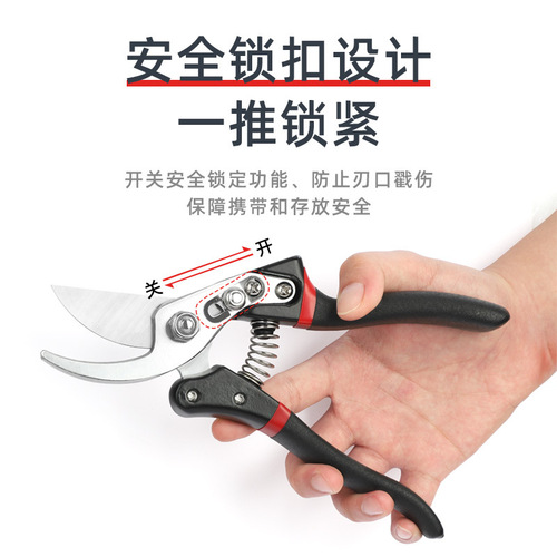 Golden sword garden shears, fruit branch shears, pruning shears, flower branch bonsai scissors, gardening scissors, branch scissors