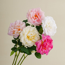 ��Ʒ�|�ٻ������¼����������մɻ�ƿ�͏d�廨�[���ײ��p�ݸ߼���