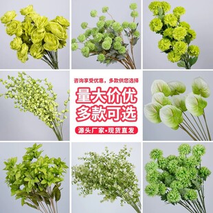 ��c���滨�Gֲ�����b��߾Gɫɭϵ���Ļ�������·���������l