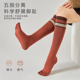 Five-Finger Socks for Women Cross-Border Autumn and Winter New Pressure Sports Slimming Cotton Calf Socks Knee-Length Split-Toe Socks