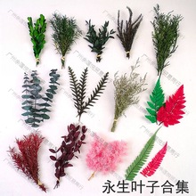 ɭϵ~ȼ~~XɽX~ާ~ݸλdiyϰ