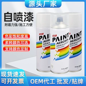 400ml Varnish Self-Painting Hand-Operated Automatic Car Metal Anti-Rust Wall Furniture Wood Waterproof Paint Wholesale