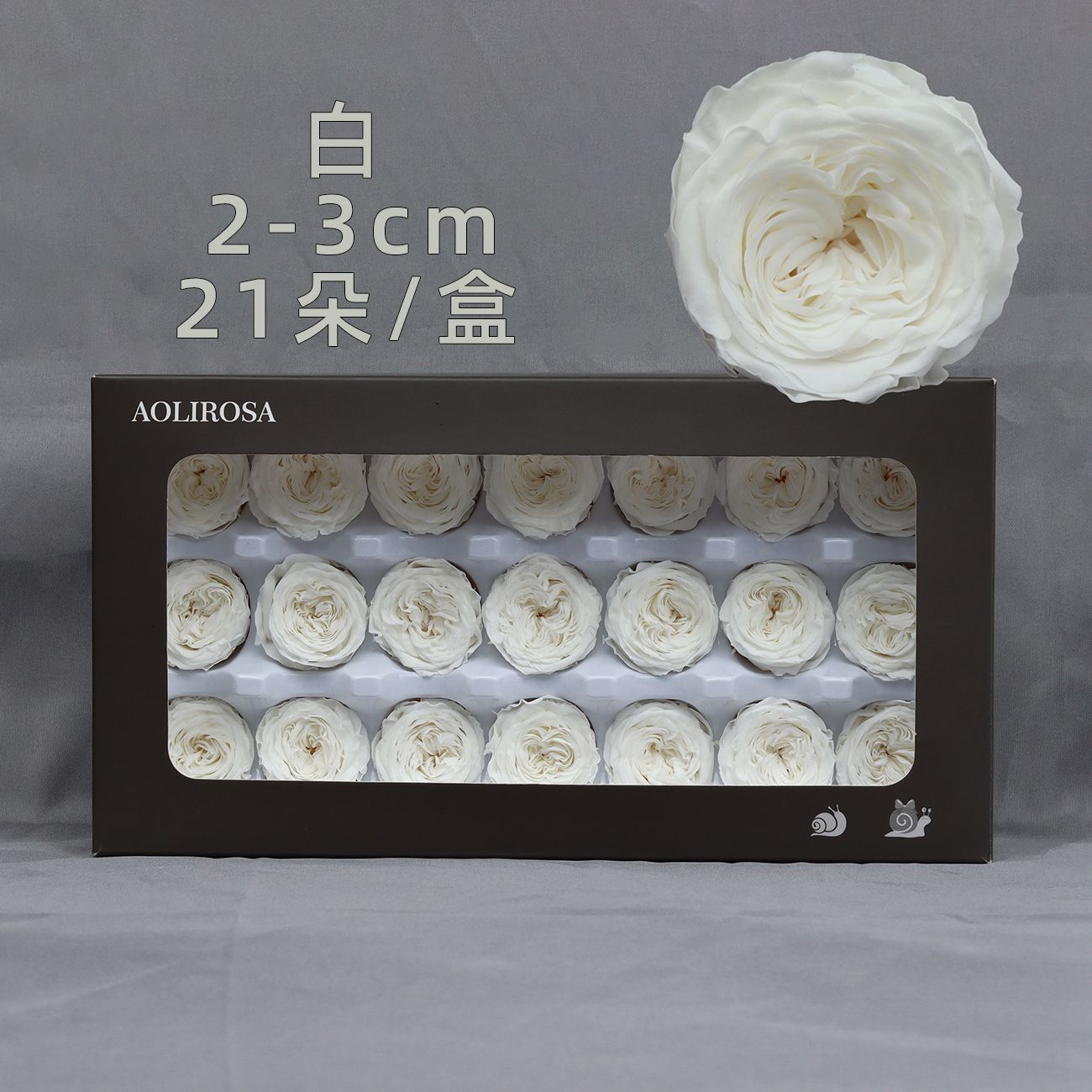 Grade A Valentine's Day Rose/Austin/Eternal Flower/2-3CM Rose cabeza/fábrica al por mayor gran cantidad Congyou