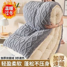 塔芙绒冬被羊羔绒被子加厚保暖单双人学生宿舍牛奶绒被芯厂家直销