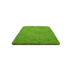 Real Turf Lawn with Taiwan Grass Bermuda Villa Dwarf Courtyard Soil Putting Green Grass with Thick Soil Turf Fresh
