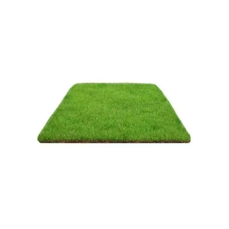 Натуральный газон с тайваньской травой Bermuda для виллы, газон для мини-гольфа с толстым слоем почвы, свежий газон для дворика.