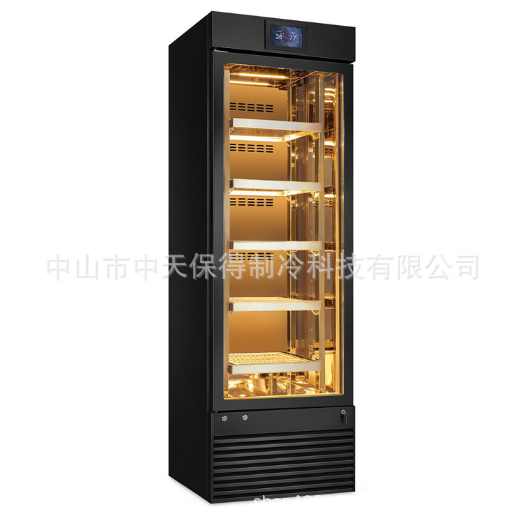 厂家新款牛肉熟成柜 干湿式牛排展示柜智能排酸冷藏保鲜冰箱