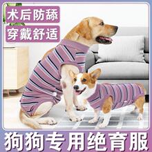 狗狗专用绝育服护肚衣母狗防舔手术后衣服断奶服包肚巴哥法斗柯基