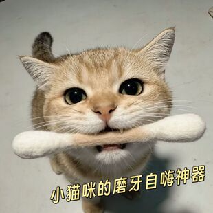 ؈�����100%����ë���޺���؈��ĥ�����X���˽␞؈���������