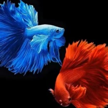 ̩�����~�W�t���t�ۼt�t����~���ô�����Ꭷ��ˮ�����~