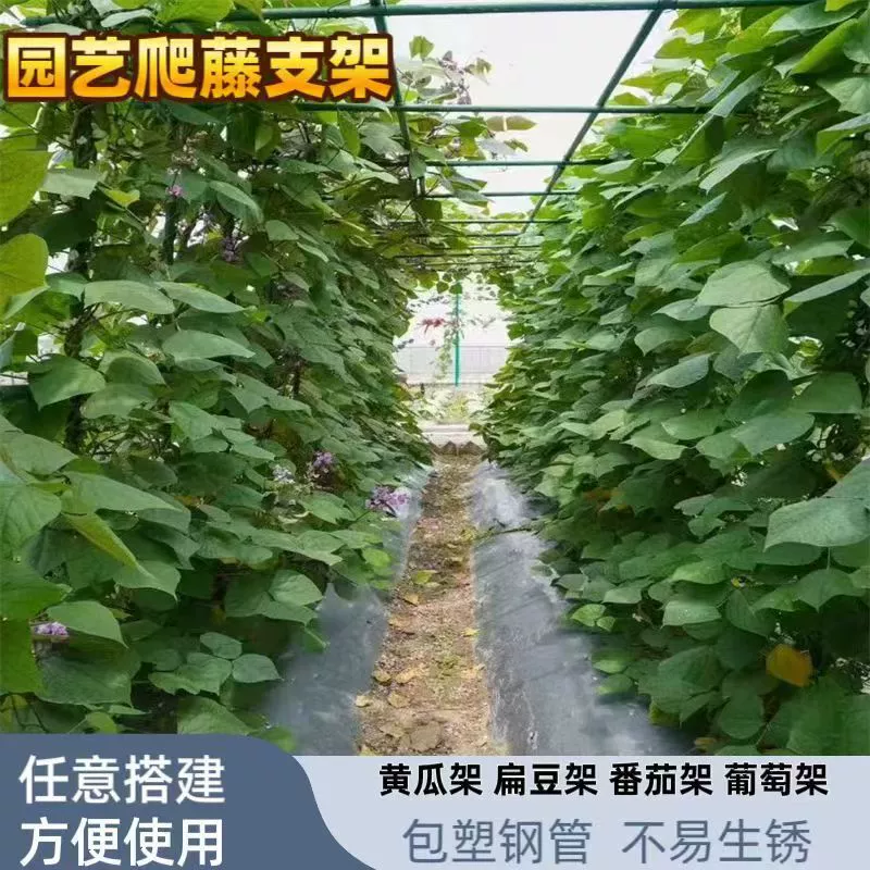 Садовая подставка для восхождения на ротанг Подставка для восхождения на виноградную лозу Подставка для восхождения на цветочные подставки заменяет бамбуковый столб