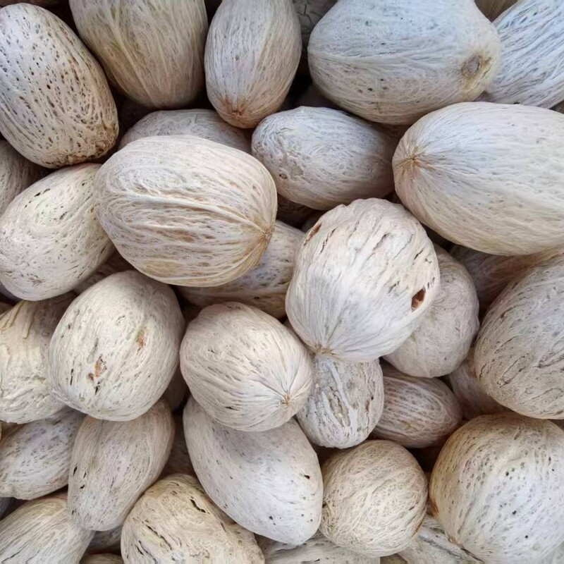 Bleached Wood Mango Dried Fruit Kindergarten Decorative Ornaments Eucalyptus Fruit Retro Photo Props Raw Materials Natural