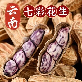 ������؛�߲ʻ�����������خa��ɳ������ţ���������߲ʻ�����