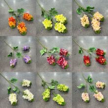 ���滨3�^�Ͳ˻��L����޹�²ݼҾ��b�Y���ÔzӰ���ߔ[���ٻ�