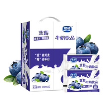 银桥百利包蓝莓12袋*200ml整箱