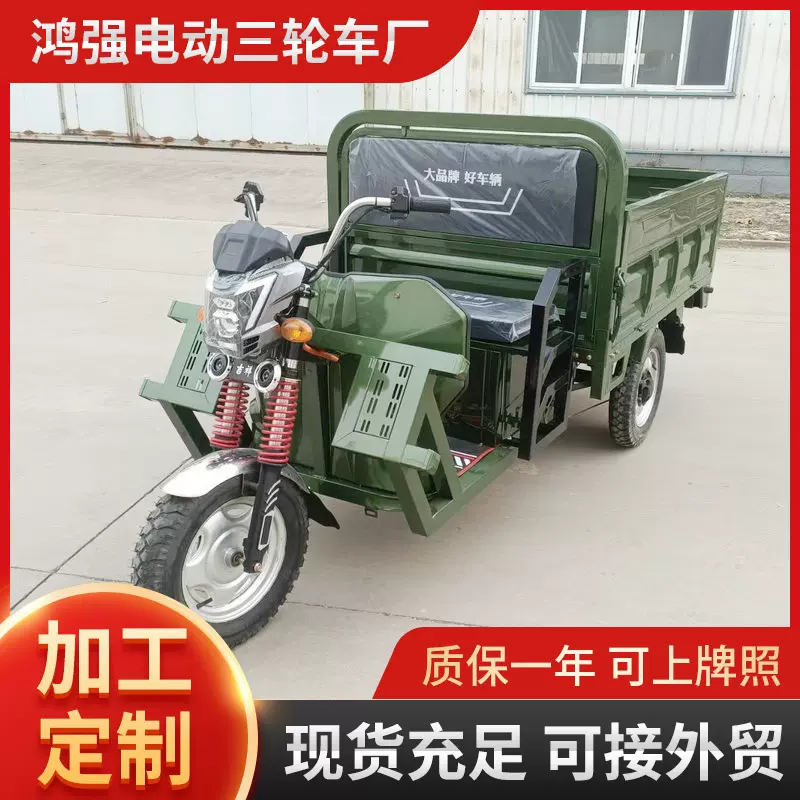 大功率电动载重成人拉货三轮车 新款家用电瓶车农用车快递车