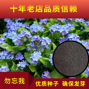 �����һ����ļ����N�_���׻�N���Ӷ����ͺ�ͥԺ������������