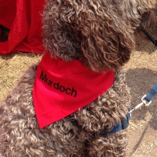 etsy�����ˮ���̽� �������^���ɴ̽���logo ȫ�ތ������ǽ�