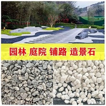 5斤灰色鹅卵石黑色景观砾石水洗石日式庭院枯山水造景灰石子米石