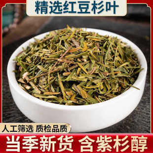 Ұɽ�t��ɼ�~ ���ؼt��ɼ�~�� ���ϱ� �t��ɼƤ250�˰��]��