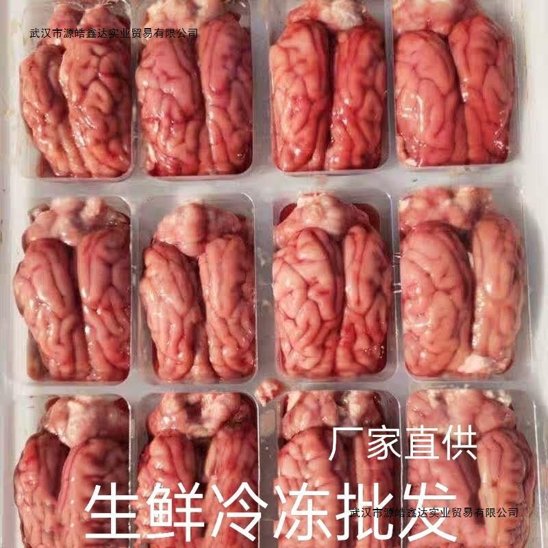 新鲜冷冻猪脑96副左右脑加小脑生猪脑花火锅烧烤食材江浙沪皖包邮