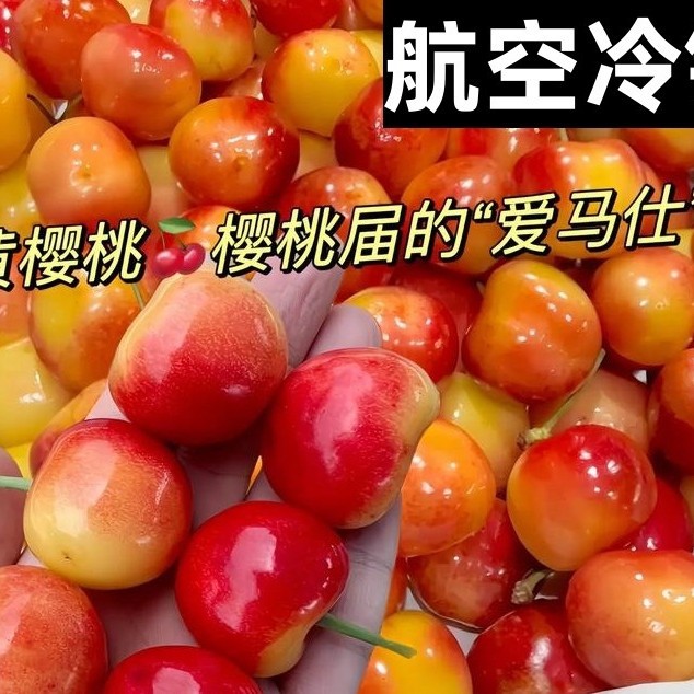 Shandong Yantai yellow crystal big cherries yellow honey yellow cherries carlish fresh fruit 5 jin outdoor seasonal