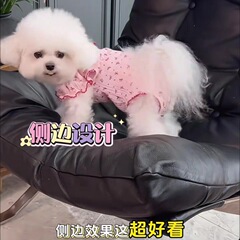 宠物衣服秋冬季新款弹力泡泡袖背心全包护肚衣狗狗比熊泰迪居家服