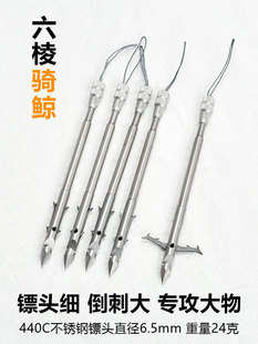 �¿�����~�S�����S�w���S�~������C�H�~�O�S���~�˴��~���~�B