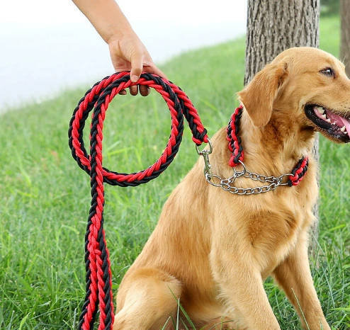 Нейлоновый поводок из восьми нитей, плетеный, для средних и крупных собак, ошейник-поводок, P-образная цепь для овчарок и крупных собак.
