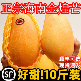 ���Ͻ��â���r10��ˮ���a����������]ˮ��â���Fժ�����Ꭷ