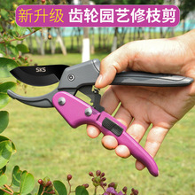 �X݆��֦��@ˇ����ʡ���h�������޼�֦�������I���@�����@ˇ����