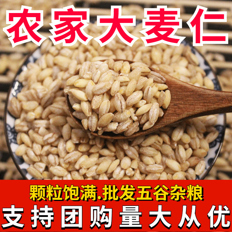 New goods barley kernel rice wholesale barley kernel eight-treasure porridge raw materials farm self-planted wheat kernel rice wheat kernel wheat kernel wheat New goods barley kernel rice wholesale barley kernel eight-treasure porridge raw materials farm self-planted wheat kernel rice wheat kernel wheat kernel wheat