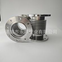 DN100ղy P304/316L ɸ͑a Da