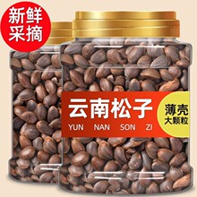 云南松子500克散装大颗粒落水松新鲜手剥坚果休闲零食整箱装商用