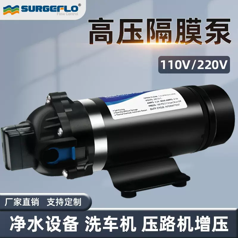 DP-160S超高杨程大压力泵110v 220v交流电压小型净水器增压路机泵