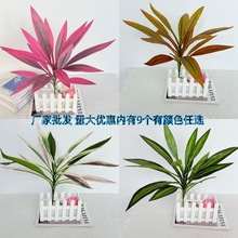 �羳�����������ľ��Ѫ���콶17Ƭ�Gֲ�҃��쾰ֲ��廨����~