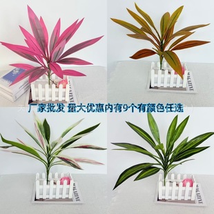 �羳�����������ľ��Ѫ���콶17Ƭ�Gֲ�҃��쾰ֲ��廨����~