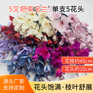 ��5�洺�����������m��c�������l�zӰ����·���쾰�������滨