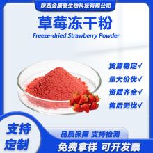 草莓冻干粉FD冷冻干燥草莓粉Freeze-dried strawberry powder
